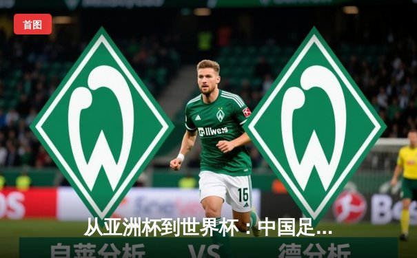 从亚洲杯到世界杯：中国足球的阵痛与新生之路