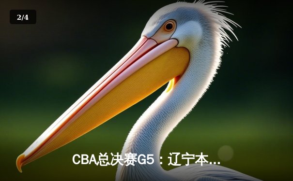 CBA总决赛G5：辽宁本钢加时险胜广东宏远，成功卫冕总冠军 - 2